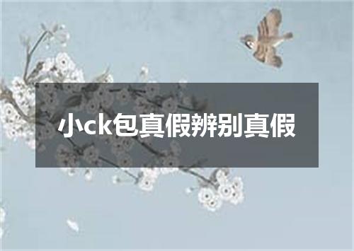 小ck包真假辨别真假