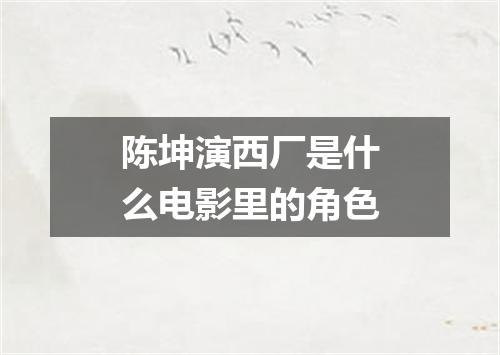 陈坤演西厂是什么电影里的角色