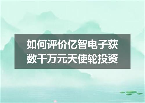 如何评价亿智电子获数千万元天使轮投资