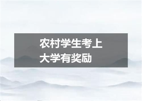 农村学生考上大学有奖励