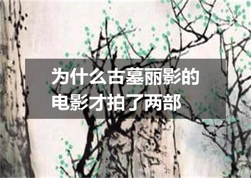 为什么古墓丽影的电影才拍了两部