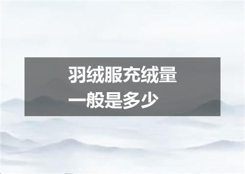 羽绒服充绒量一般是多少