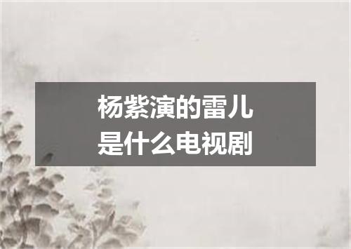 杨紫演的雷儿是什么电视剧