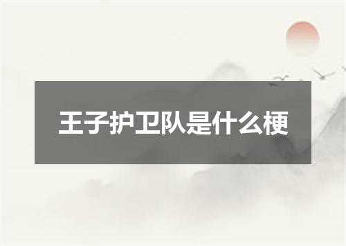 王子护卫队是什么梗