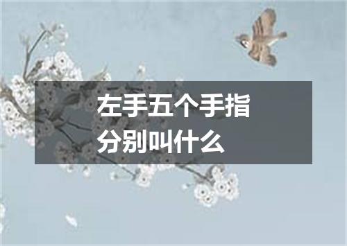 左手五个手指分别叫什么