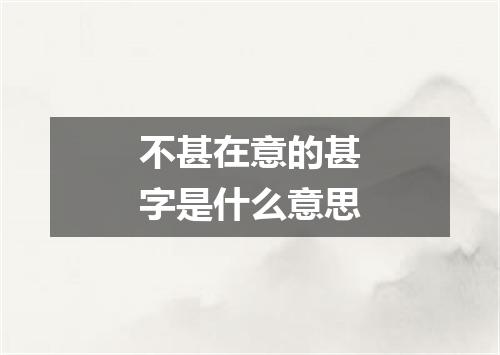 不甚在意的甚字是什么意思