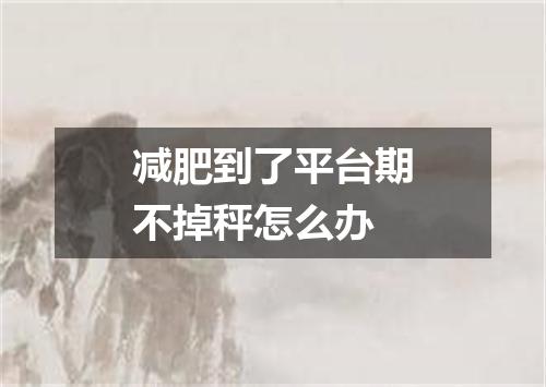 减肥到了平台期不掉秤怎么办