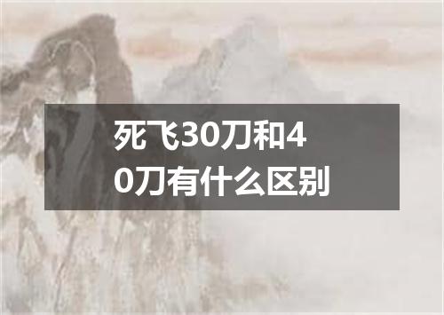 死飞30刀和40刀有什么区别