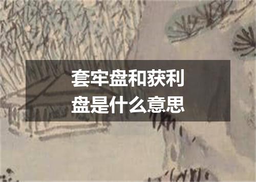 套牢盘和获利盘是什么意思