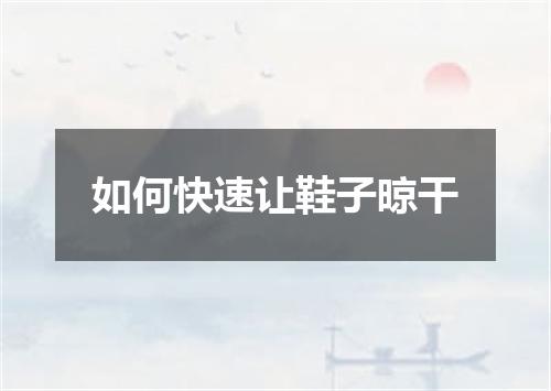 如何快速让鞋子晾干