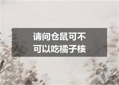 请问仓鼠可不可以吃橘子核