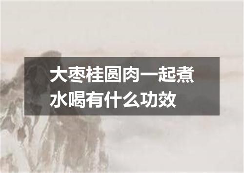 大枣桂圆肉一起煮水喝有什么功效