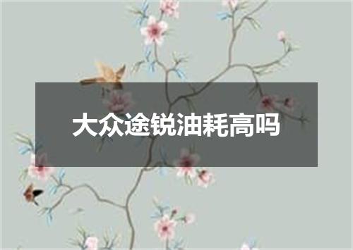 大众途锐油耗高吗