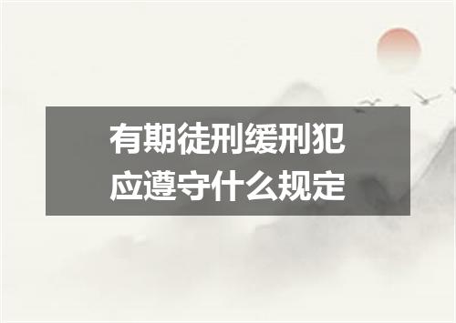 有期徒刑缓刑犯应遵守什么规定