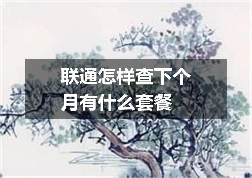 联通怎样查下个月有什么套餐