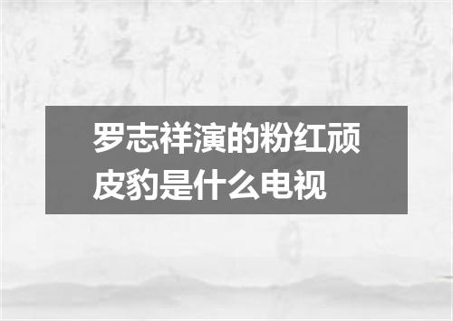 罗志祥演的粉红顽皮豹是什么电视