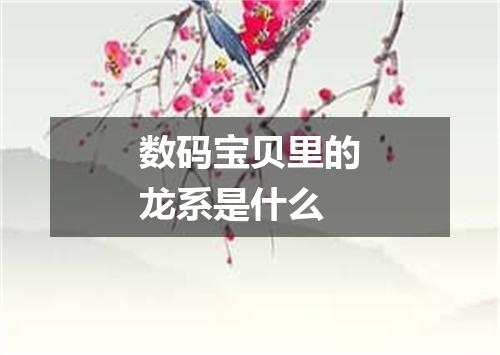 数码宝贝里的龙系是什么