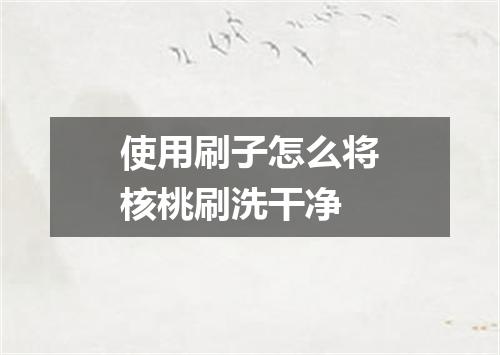 使用刷子怎么将核桃刷洗干净