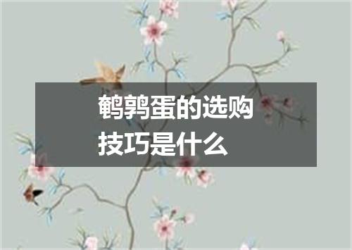 鹌鹑蛋的选购技巧是什么