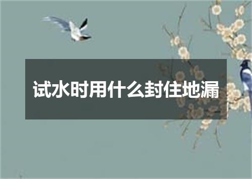 试水时用什么封住地漏