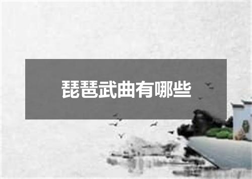 琵琶武曲有哪些