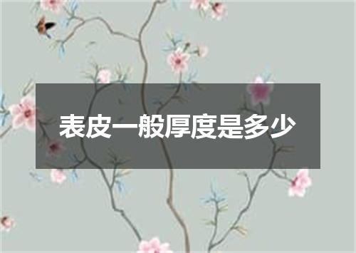 表皮一般厚度是多少
