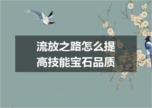 流放之路怎么提高技能宝石品质