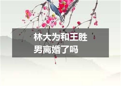 林大为和王胜男离婚了吗