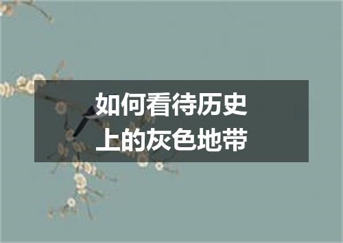 如何看待历史上的灰色地带