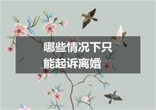 哪些情况下只能起诉离婚