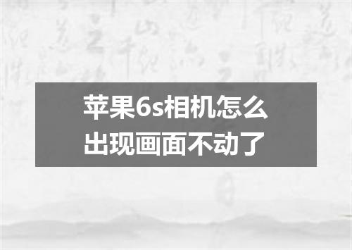 苹果6s相机怎么出现画面不动了