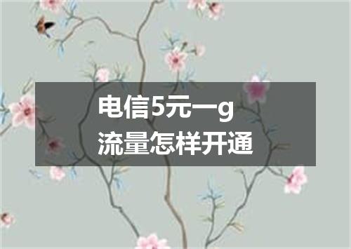 电信5元一g流量怎样开通