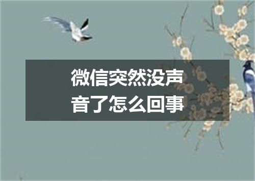 微信突然没声音了怎么回事