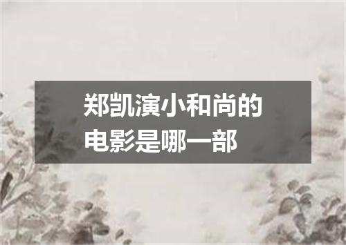 郑凯演小和尚的电影是哪一部