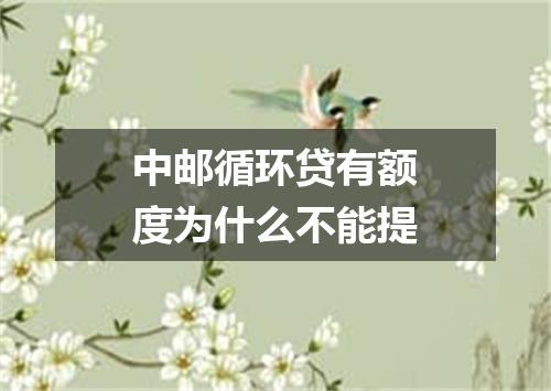 中邮循环贷有额度为什么不能提