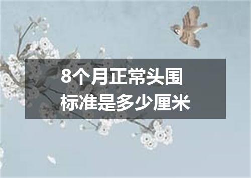 8个月正常头围标准是多少厘米