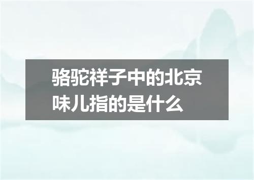 骆驼祥子中的北京味儿指的是什么
