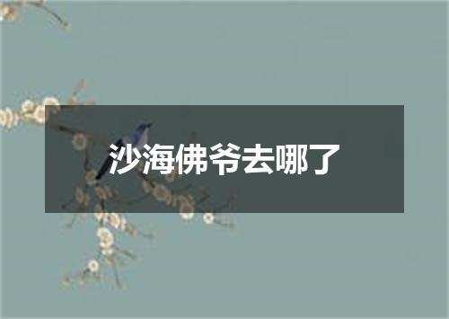 沙海佛爷去哪了