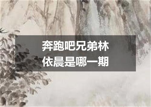 奔跑吧兄弟林依晨是哪一期