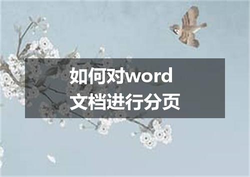 如何对word文档进行分页