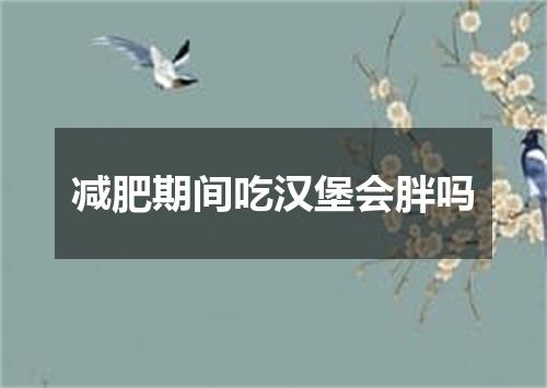 减肥期间吃汉堡会胖吗