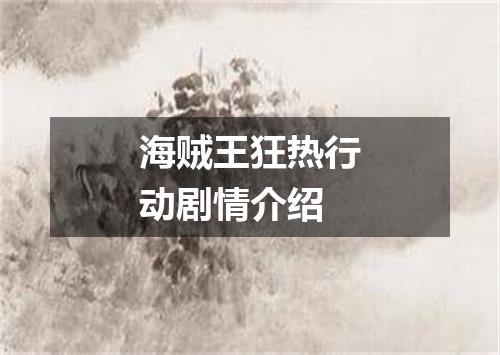 海贼王狂热行动剧情介绍