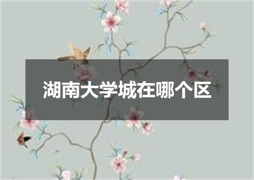 湖南大学城在哪个区