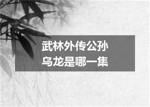 武林外传公孙乌龙是哪一集