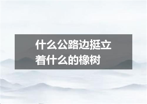 什么公路边挺立着什么的橡树