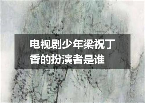 电视剧少年梁祝丁香的扮演者是谁