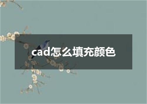cad怎么填充颜色