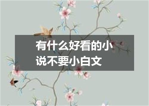 有什么好看的小说不要小白文
