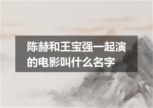 陈赫和王宝强一起演的电影叫什么名字