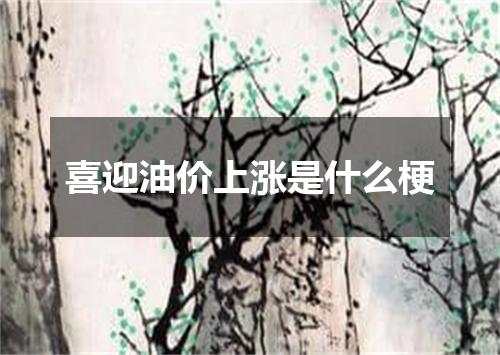 喜迎油价上涨是什么梗